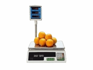 Digital Weighing Scale 30KG