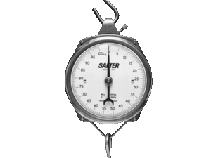 Salter Hanging Scale