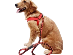 Dog Harness And Leash