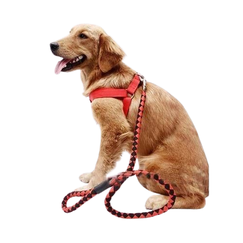 1_-_2026-01-02T172114.120-removebg-preview